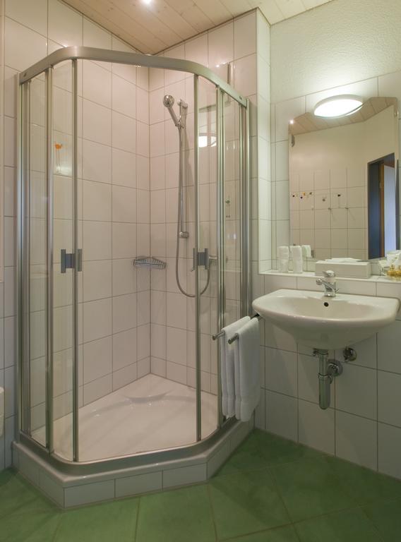 Seehotel Delphin Meisterschwanden Номер фото